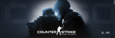 csgo为啥两个人不能玩人机？