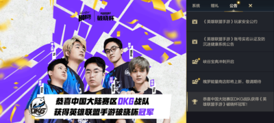 英雄联盟手游dkg是哪个国家的？