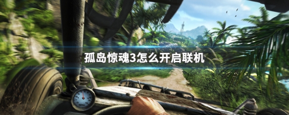 孤岛惊魂3怎么开启双人模式？