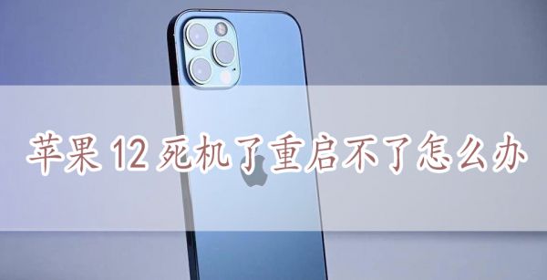 苹果12死机了重启不了怎么办