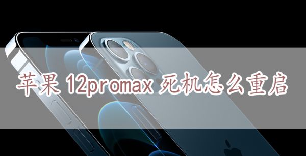 苹果12pro max死机怎么重启