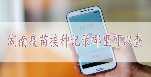 湖南疫苗接种记录哪里可以查