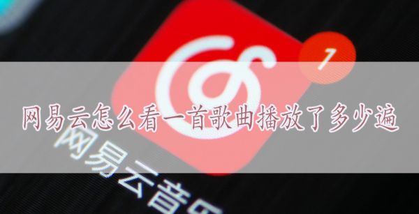 网易云怎么看一首歌曲播放了多少遍