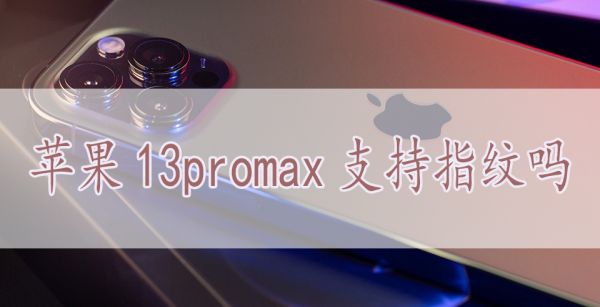 苹果13promax支持指纹吗