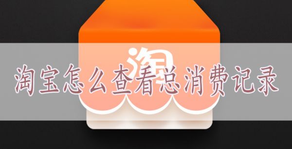 淘宝怎么查看总消费记录