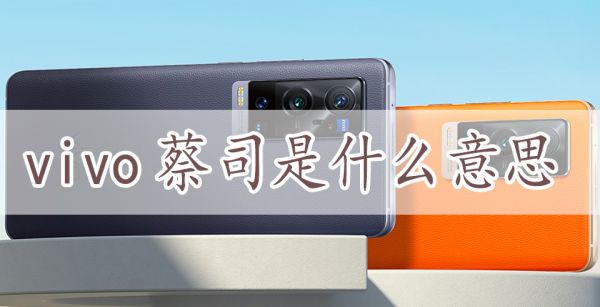vivo蔡司是什么意思