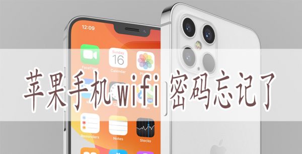 苹果手机wifi密码忘记了