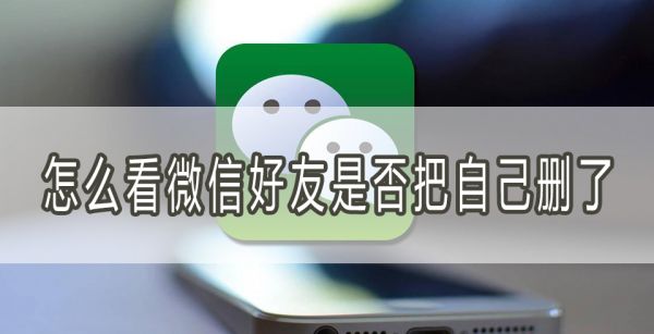 怎么看微信好友是否把自己删了