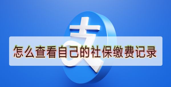怎么查看自己的社保缴费记录
