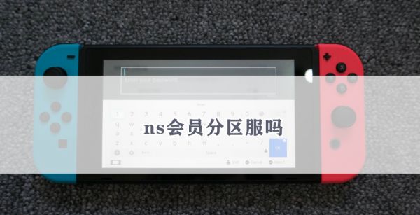ns会员分区服吗