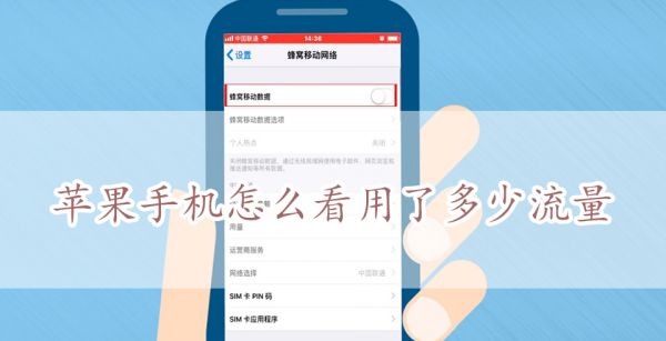 苹果手机怎么看用了多少流量