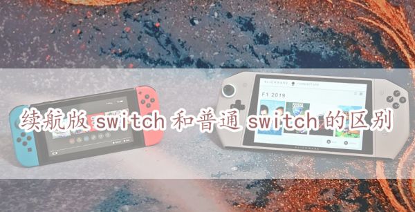 续航版switch和普通switch的区别