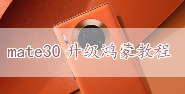 mate30升级鸿蒙教程
