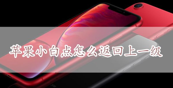 苹果小白点怎么返回上一级