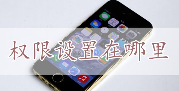 权限设置在哪里