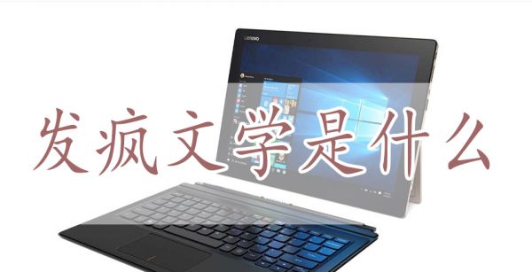 发疯文学是什么