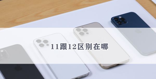 11跟12区别在哪