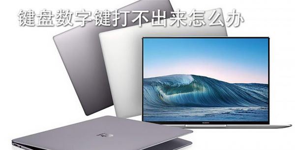 键盘数字键打不出来怎么办