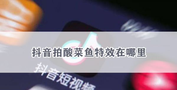 抖音拍酸菜鱼特效在哪里