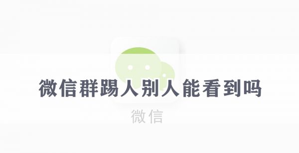 微信群踢人别人能看到吗