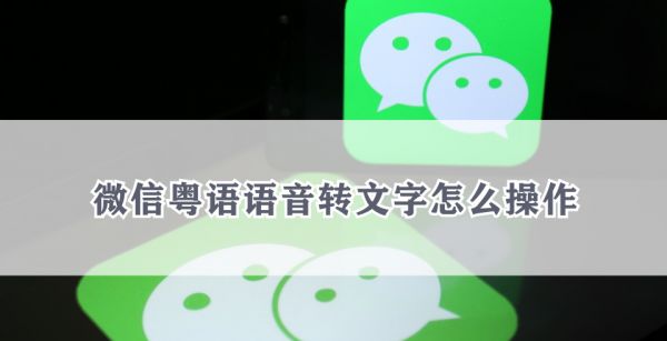 微信粤语语音转文字怎么操作
