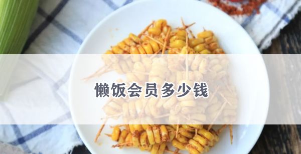 懒饭会员多少钱