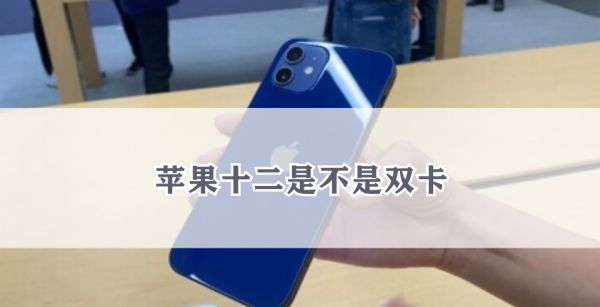 苹果十二是不是双卡