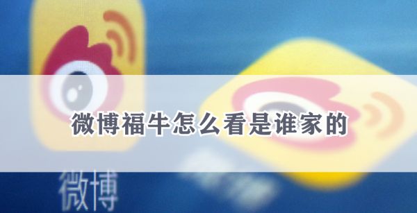 微博福牛怎么看是谁家的