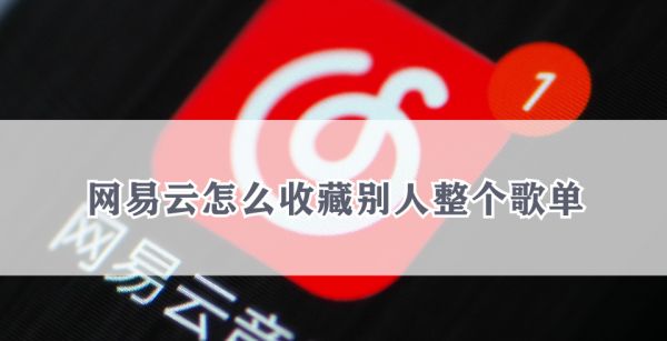 网易云怎么收藏别人整个歌单
