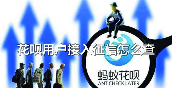 花呗用户接入征信怎么查