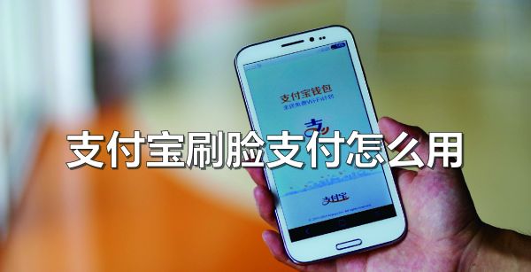 支付宝刷脸支付怎么用