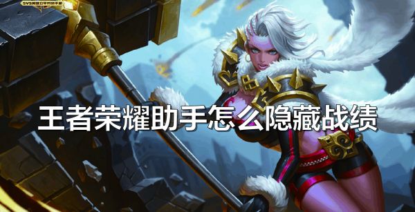 王者荣耀助手怎么隐藏战绩