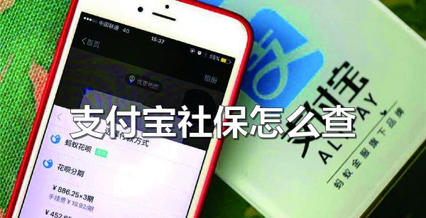 支付宝怎么查社保