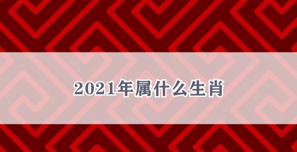 2021年属什么生肖