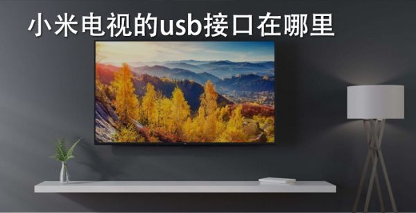 小米电视的usb接口在哪里