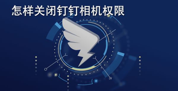怎样关闭钉钉相机权限