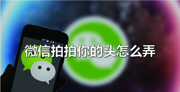 微信拍拍你的头怎么弄