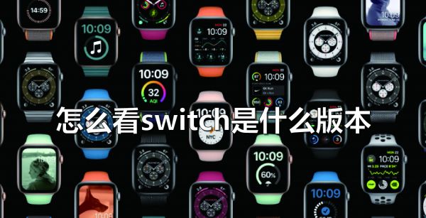 怎么看switch是什么版本