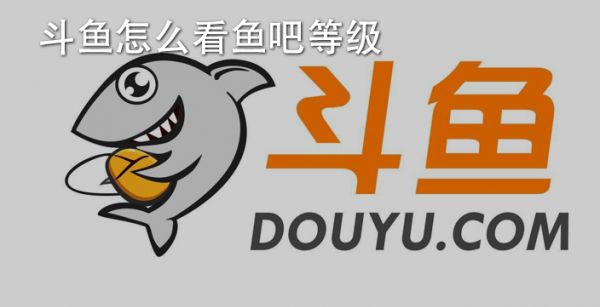 斗鱼怎么看鱼吧等级