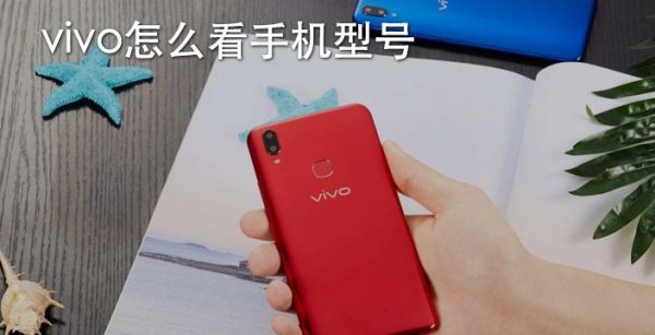 vivo怎么看手机型号