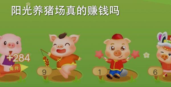阳光养猪场真的赚钱吗