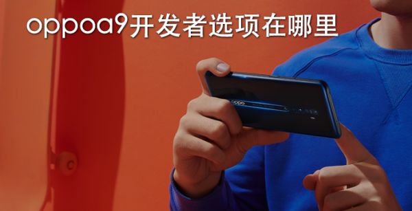 oppoa9开发者选项在哪里