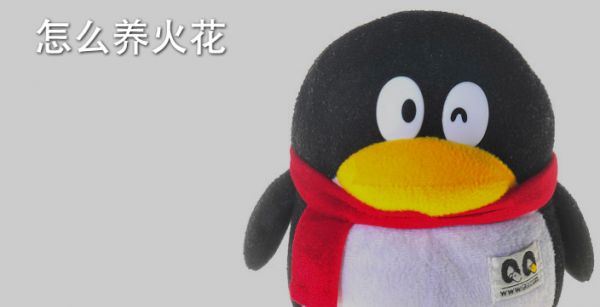 怎么养火花