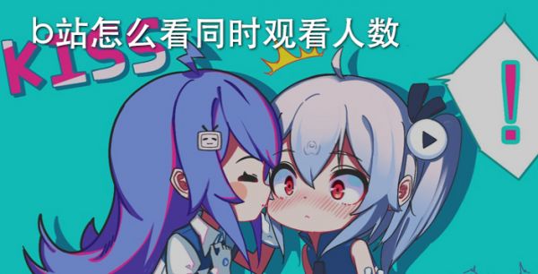 b站怎么看同时观看人数