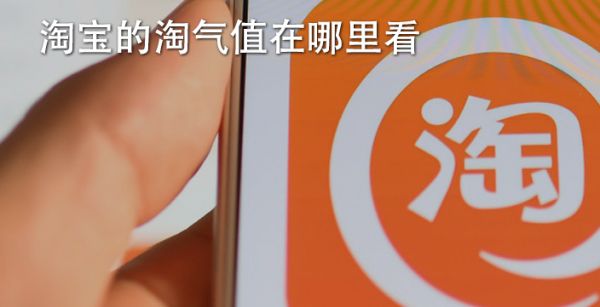 淘宝的淘气值在哪里看