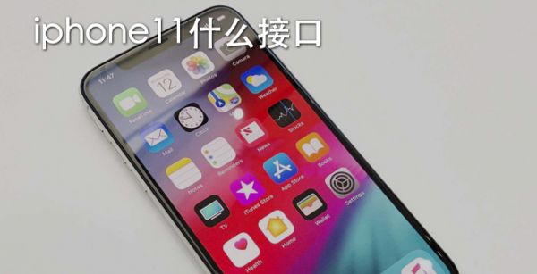 iphone11什么接口