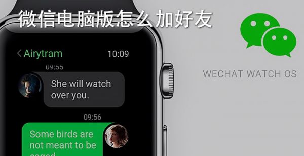 微信电脑版怎么加好友