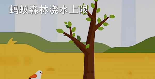 蚂蚁森林浇水上限