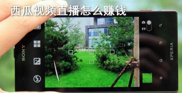 西瓜视频直播怎么赚钱