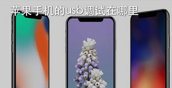 苹果手机的usb调试在哪里